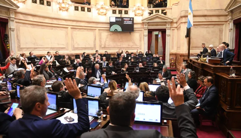 El Congreso revirtió el veto de Milei y la Emergencia en Discapacidad es ley