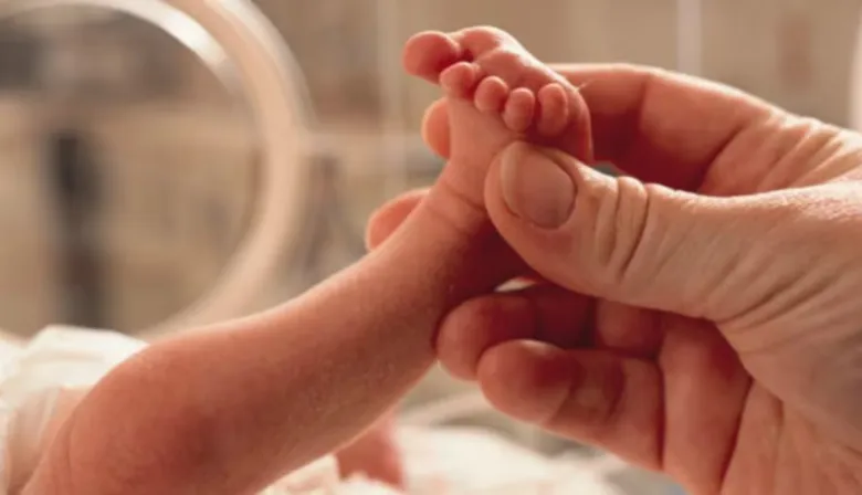 Caída histórica de la natalidad en Argentina: los hogares sin hijos ya son mayoría