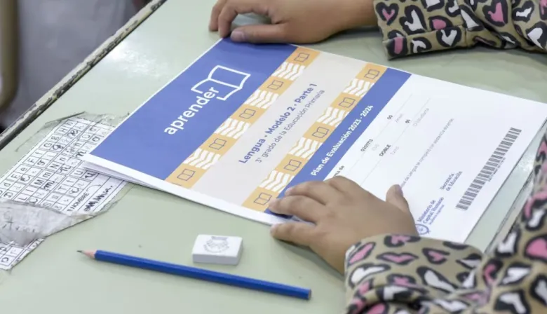 Preocupantes resultados de Aprender 2024: solo el 14,2% de los estudiantes alcanzó un nivel satisfactorio en Matemática