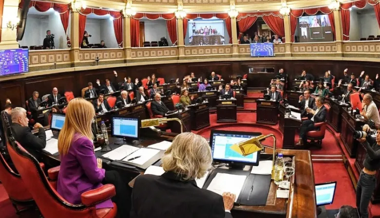 El Senado bonaerense aprobó las reelecciones indefinidas para legisladores