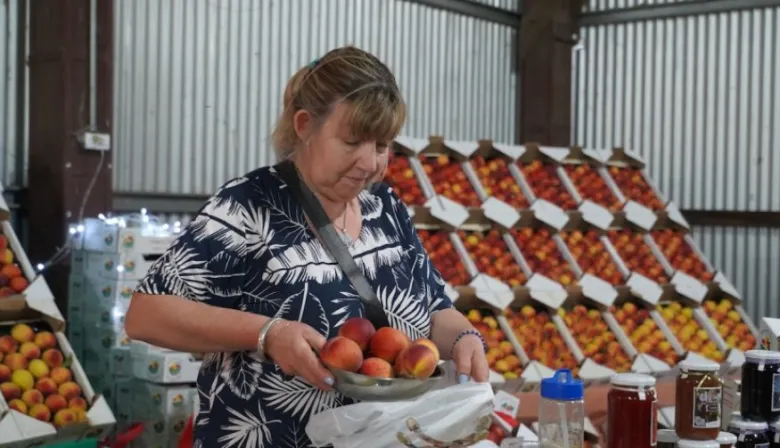 Cultura, sabores y tradición: llega la 50ª Fiesta del Durazno en Mercedes