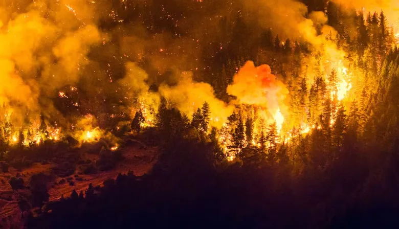 Ignacio Torres anticipó “sanciones ejemplares” para los responsables de los incendios