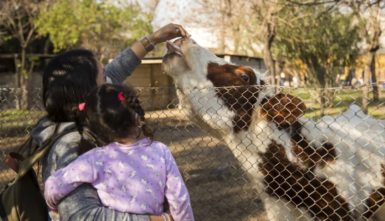 La Chacra Educativa de Villa Adelina abre sus puertas en otoño con animales, huerta y actividades al aire libre