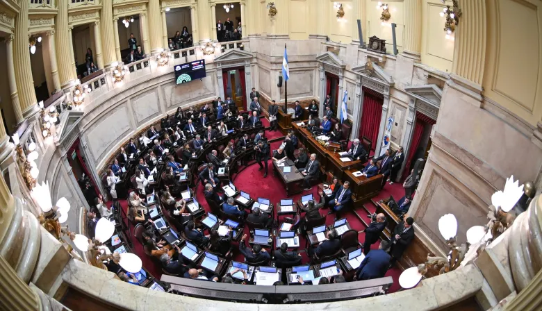 El Senado aprobó la Ley de Inviolabilidad de la Propiedad Privada tras una extensa sesión y cambios en el proyecto