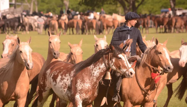 San Antonio de Areco se prepara para celebrar la 87° Fiesta de la Tradición