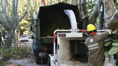 La Municipalidad de Vicente López avanza con el Plan de Poda 2025