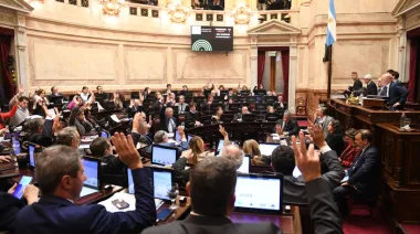 El Congreso revirtió el veto de Milei y la Emergencia en Discapacidad es ley 