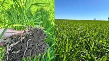Los productores bonaerenses: kilómetro 0 de un campo limpio