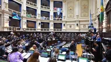 Se aprobó el proyecto que regula la tarea de los acompañantes terapéuticos