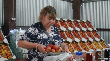 Cultura, sabores y tradición: llega la 50ª Fiesta del Durazno en Mercedes