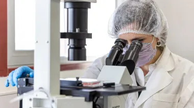 La Academia Nacional de Ciencias advirtió sobre el deterioro del sistema científico y alertó por una posible fuga de investigadores
