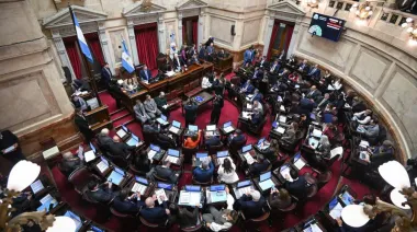 El Senado debate el proyecto que elimina los límites para la compra de tierras por parte de extranjeros