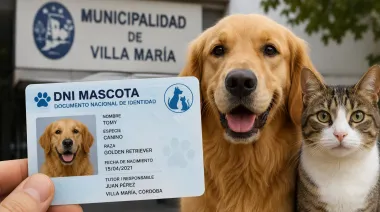 En Córdoba, perros y gatos ya tienen su propio documento de identidad