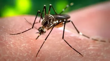 Dengue: recomiendan poner mucho foco en la prevención para evitar otro brote