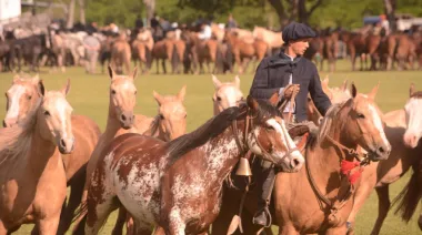San Antonio de Areco se prepara para celebrar la 87° Fiesta de la Tradición