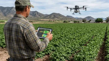 Desarrollan una herramienta con drones e inteligencia artificial para detectar malezas en cultivos de alfalfa