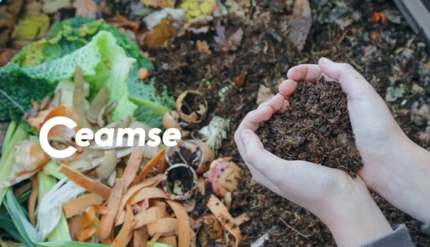 Por qué lo biodegradable no es impacto cero: el análisis de CEAMSE