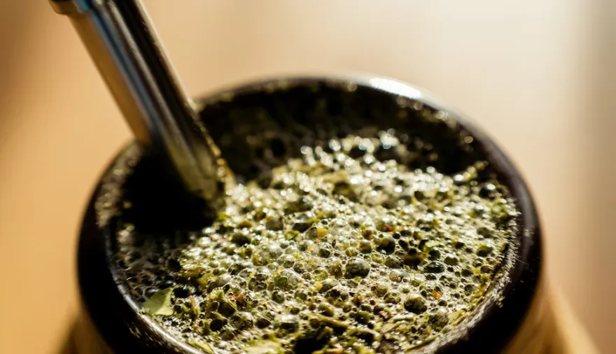 El mapa de la yerba mate en Argentina: Playadito y Las Marías lideran una competencia cada vez más ajustada