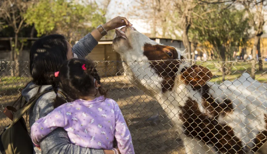 La Chacra Educativa de Villa Adelina abre sus puertas en otoño con animales, huerta y actividades al aire libre
