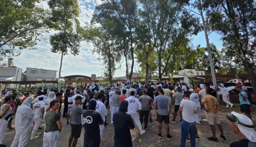 Crisis en Granja Tres Arroyos: salarios impagos, despidos y plantas paralizadas
