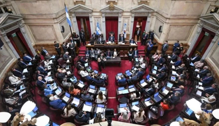 El Senado aprobó la reforma de la Ley de Salud Mental y el proyecto pasó a Diputados