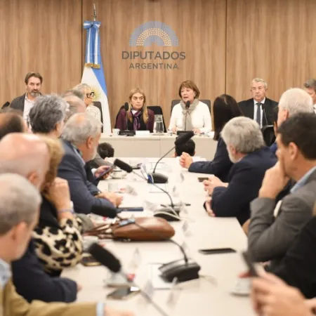 Educación en emergencia: universidades y legisladores reclaman una ley urgente