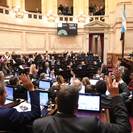 El Congreso revirtió el veto de Milei y la Emergencia en Discapacidad es ley 