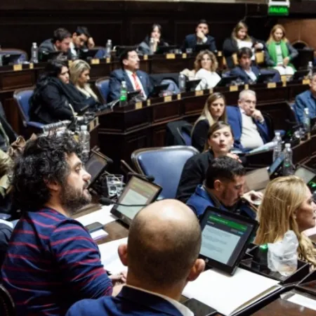 “Argentina o Milei”: legisladores bonaerenses de Unión por la Patria alertan sobre la pérdida de soberanía