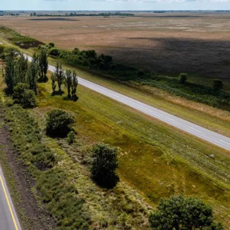 Ruta 11: la Provincia presentó cómo será la autovía entre Mar de Ajó y Pinamar