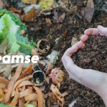 Por qué lo biodegradable no es impacto cero: el análisis de CEAMSE