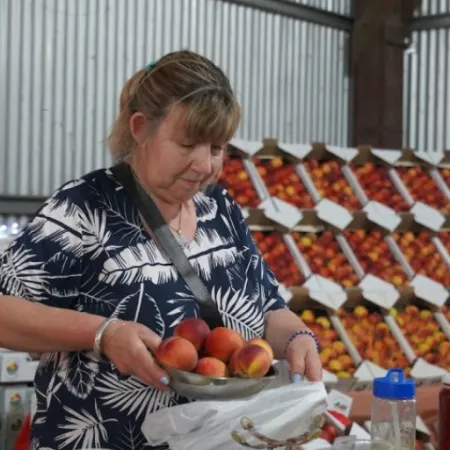 Cultura, sabores y tradición: llega la 50ª Fiesta del Durazno en Mercedes