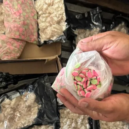 Gendarmería desbarató una organización narcocriminal en Misiones, CABA y el Conurbano