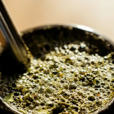 El mapa de la yerba mate en Argentina: Playadito y Las Marías lideran una competencia cada vez más ajustada