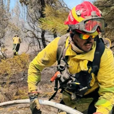 El Gobierno creó el Registro Nacional de Entidades de Bomberos Voluntarios