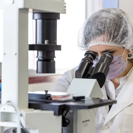 La Academia Nacional de Ciencias advirtió sobre el deterioro del sistema científico y alertó por una posible fuga de investigadores