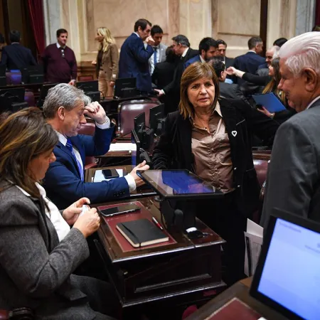 El Senado postergó el debate sobre la ley de tierras y aprobó los pliegos de 29 jueces
