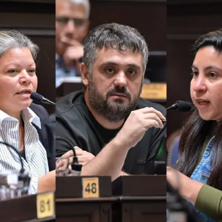 En oposición a Milei, el Kirchnerismo busca limitar la compra de tierras en manos extranjeras en PBA