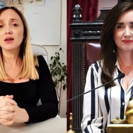 Villarruel autorizó a Fernández Sagasti a sesionar y votar de forma virtual por su embarazo