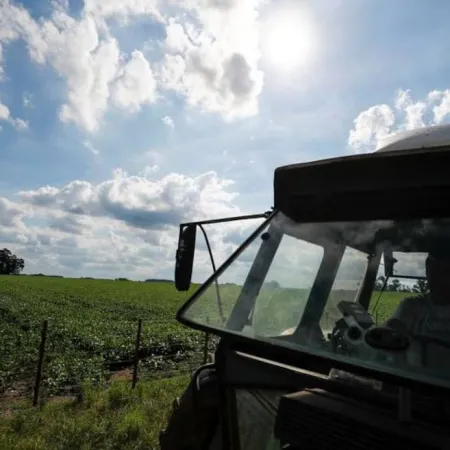 La Corte Suprema revocó el fallo que había frenado la derogación de la Ley de Tierras