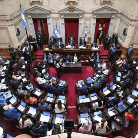 El Senado aprobó la reforma de la Ley de Salud Mental y el proyecto pasó a Diputados